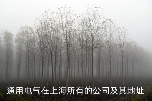 通用電氣在上海所有的公司及其地址