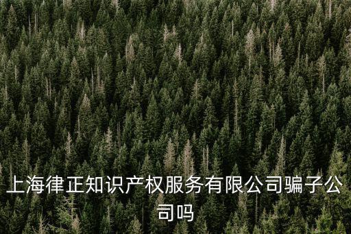 上海市浦東新區向城路58號16層e座，浦東向城路58號21樓C座自稱是浦東商標所有個王先生打電話說我們公司的
