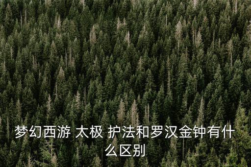 夢幻西游 太極 護法和羅漢金鐘有什么區別