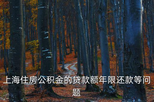 上海住房公積金的貸款額年限還款等問題