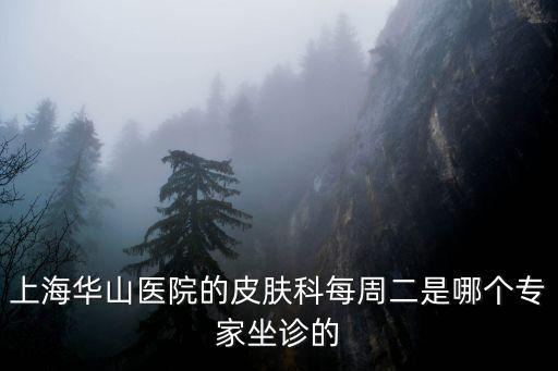 上海華山醫院的皮膚科每周二是哪個專家坐診的