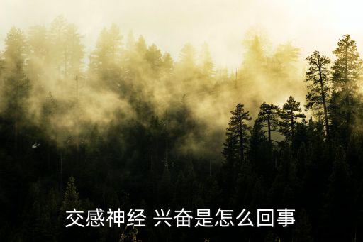 興奮圖片,交感神經(jīng)興奮可引起心慌胸悶氣短
