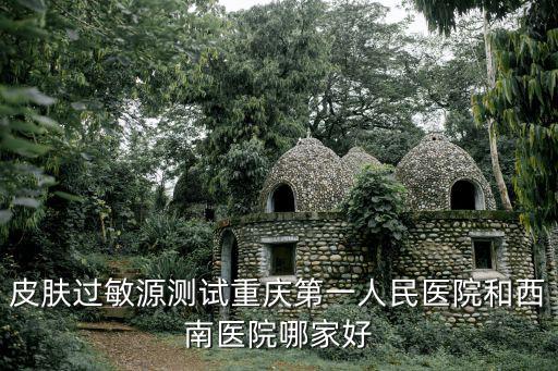 皮膚過敏源測(cè)試重慶第一人民醫(yī)院和西南醫(yī)院哪家好