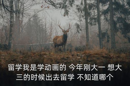 留學我是學動畫的 今年剛大一 想大三的時候出去留學 不知道哪個