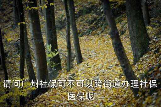 請問廣州社保可不可以跨街道辦理社保醫(yī)保呢