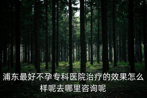 浦東最好不孕專科醫院治療的效果怎么樣呢去哪里咨詢呢
