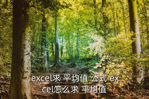  excel求 平均值 公式 excel怎么求 平均值