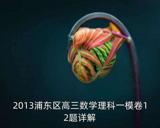 2013浦東區高三數學理科一模卷12題詳解