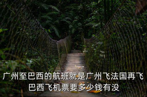 廣州至巴西的航班就是廣州飛法國再飛巴西飛機票要多少錢有沒