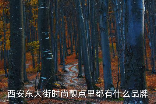 西安東大街時(shí)尚靚點(diǎn)里都有什么品牌