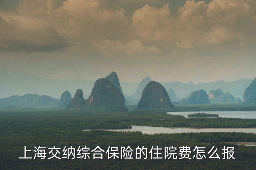 上海市住院費(fèi)用報(bào)銷流程，據(jù)說上海的醫(yī)保卡在外地看急診可以報(bào)銷是什么流程