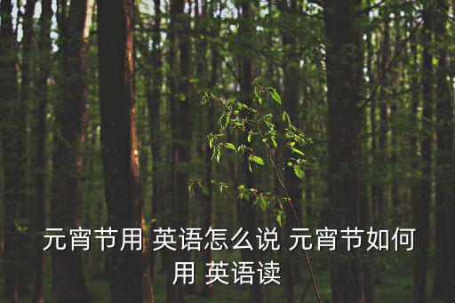  元宵節用 英語怎么說 元宵節如何用 英語讀
