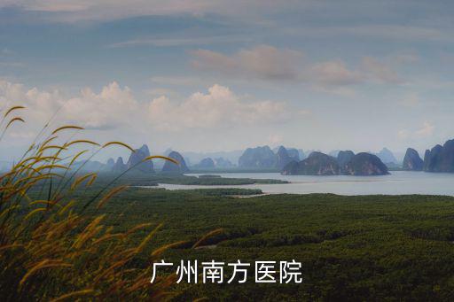 廣州從化區南方醫院第五附屬醫院，從化市南方醫科大學第五附屬醫院 屬于幾級醫院有誰在哪里做過人