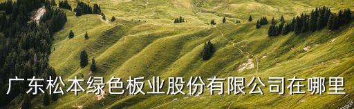 廣東松本綠色板業股份有限公司在哪里