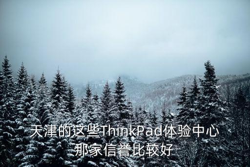 天津的這些ThinkPad體驗中心那家信譽比較好