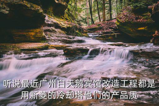 聽說最近廣州白天鵝賓館改造工程都是用新菱的冷卻塔他們的產品質