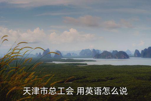 天津市總工會 用英語怎么說