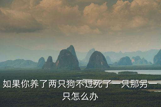 如果你養了兩只狗不過死了一只那另一只怎么辦