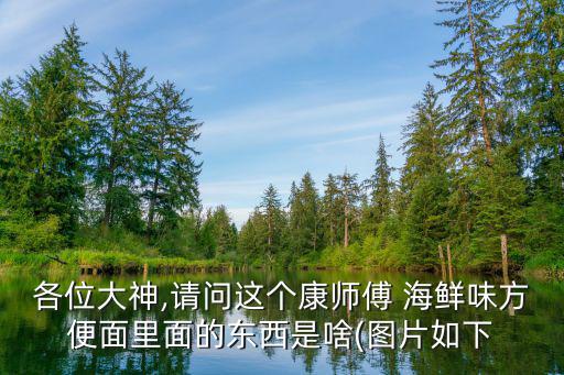 各位大神,請問這個康師傅 海鮮味方便面里面的東西是啥(圖片如下