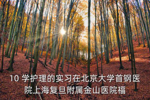 10 學護理的實習在北京大學首鋼醫院上海復旦附屬金山醫院福