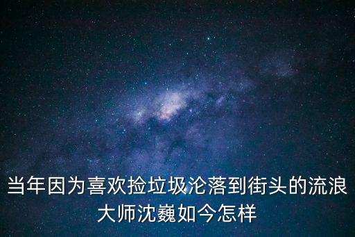 當年因為喜歡撿垃圾淪落到街頭的流浪大師沈巍如今怎樣