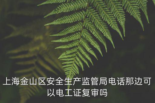上海金山區(qū)安全生產(chǎn)監(jiān)管局電話那邊可以電工證復(fù)審嗎