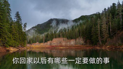 你回家以后有哪些一定要做的事