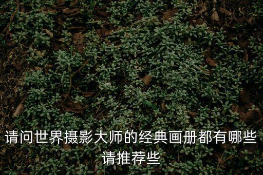 請問世界攝影大師的經(jīng)典畫冊都有哪些請推薦些