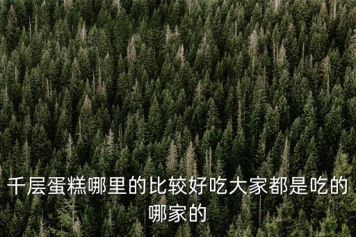千層蛋糕哪里的比較好吃大家都是吃的哪家的