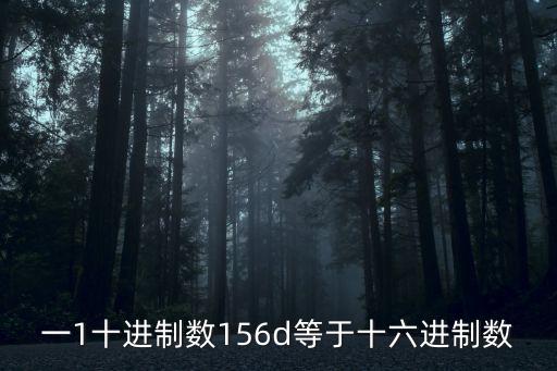 一1十進制數156d等于十六進制數