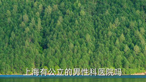 上海有男性?？漆t院嗎，上海有公立的男性科醫院嗎