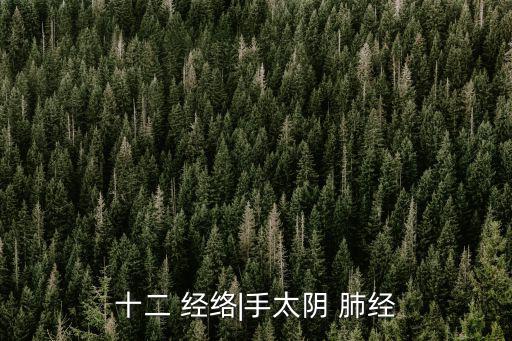 十二 經絡|手太陰 肺經