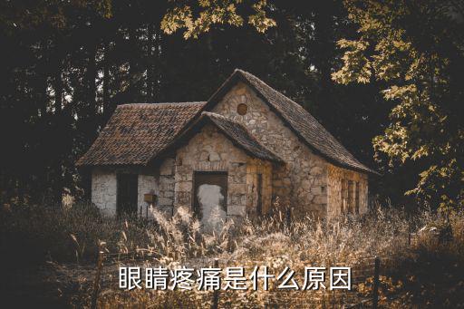 為什么眼睛會痛,導致眼睛疼痛的原因有哪些?