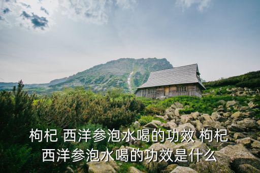  枸杞 西洋參泡水喝的功效 枸杞 西洋參泡水喝的功效是什么