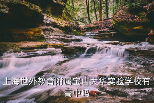 上海市世外中學(xué)有高中部嗎，上海世外教育附屬寶山大華實驗學(xué)校有高中嗎
