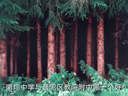 南翔中學與普陀區教院附中哪一個好