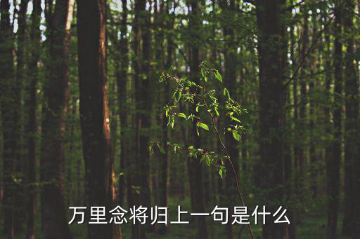 萬里念將歸上一句是什么