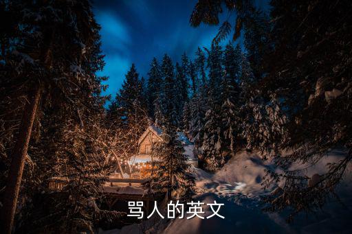 罵人的英文