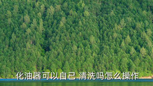 化油器清洗,不拆卸或拆解化油器清洗應先擦拭內件