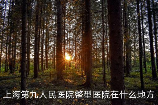 上海第九人民醫院整型醫院在什么地方
