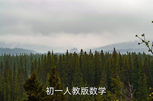 初一人教版數學