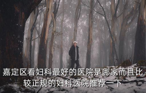 嘉定區看婦科最好的醫院是哪家而且比較正規的婦科醫院推薦一下