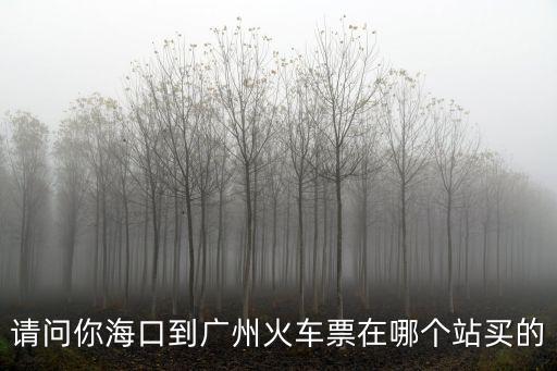 請問你海口到廣州火車票在哪個站買的