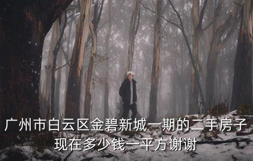 廣州市白云區金碧新城一期的二手房子現在多少錢一平方謝謝