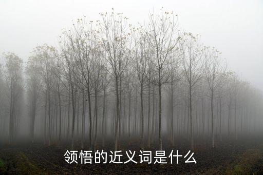 領悟的近義詞是什么