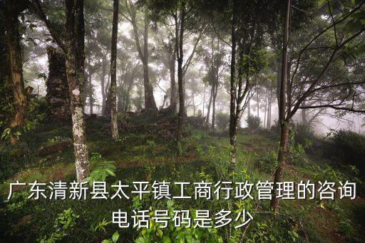 廣東清新縣太平鎮工商行政管理的咨詢電話號碼是多少