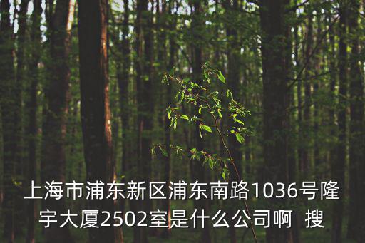 上海市鑫多企業管理有限公司，上海市浦東新區浦東南路1036號隆宇大廈2502室是什么公司啊  搜