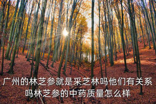 廣州的林芝參就是采芝林嗎他們有關系嗎林芝參的中藥質量怎么樣