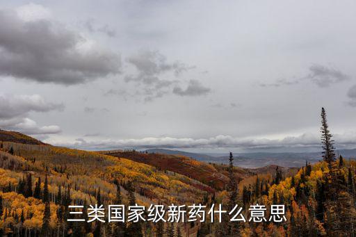 三類國家級新藥什么意思