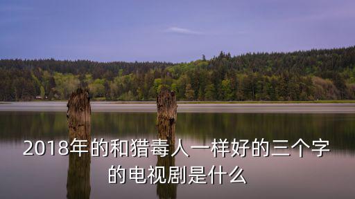 2018年的和獵毒人一樣好的三個字的電視劇是什么